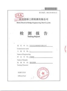 西安公司检测报告